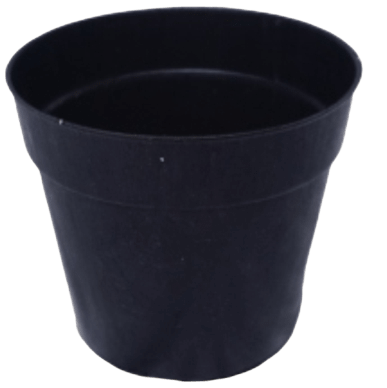 POT POLOS 15