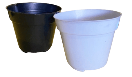 POT RR 15